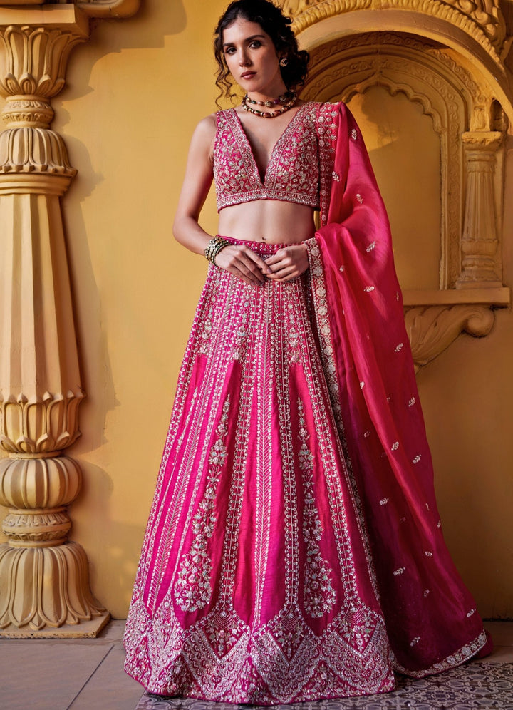 Pink Embroidered Lehenga Set Chamee and Palak - Fabilicious Fashion