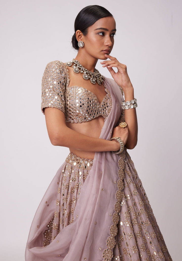 Pink Flower Lehenga With Classic Embroidered Blouse Vvani by Vani Vats - Fabilicious Fashion