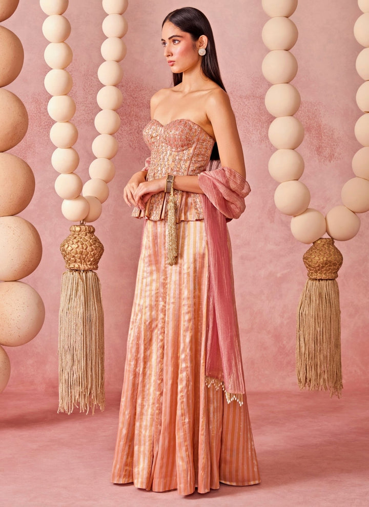 Chamee And Palak Pink Jamewar Tissue Corset Pants SetFabilicious Fashion