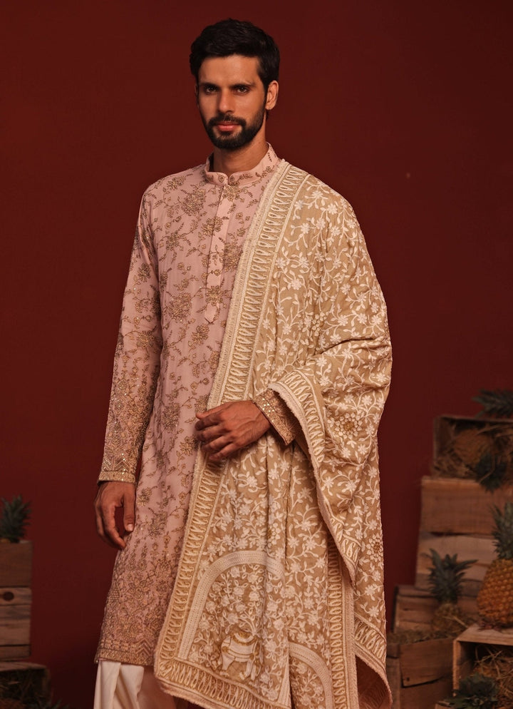 Pink Kurta Patiala Set With Embroidered Dupatta Kalpraag - Fabilicious Fashion