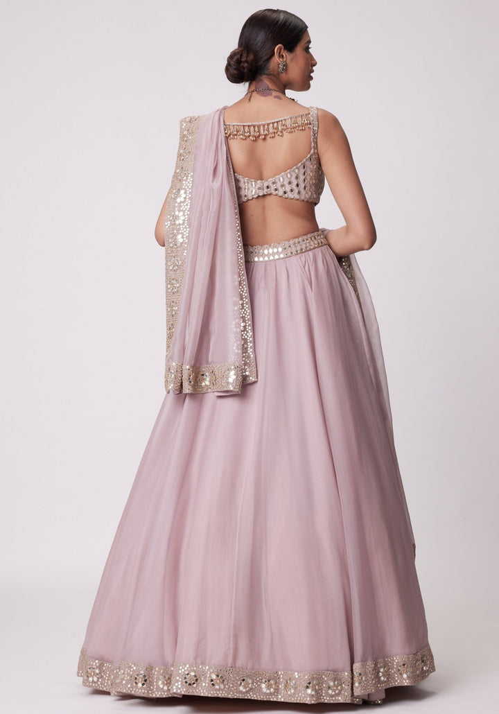 Pink Organza Lehenga With Sleeveless Embroidered Blouse Vvani by Vani Vats - Fabilicious Fashion