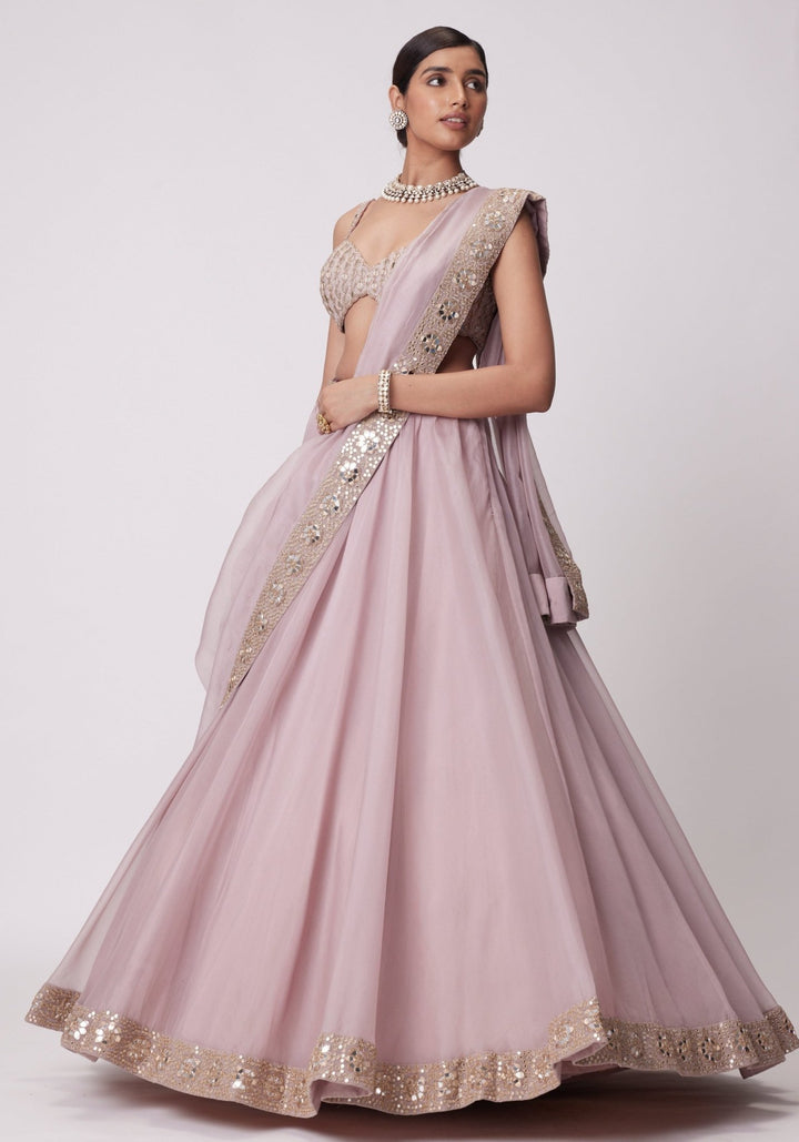 Pink Organza Lehenga With Sleeveless Embroidered Blouse Vvani by Vani Vats - Fabilicious Fashion