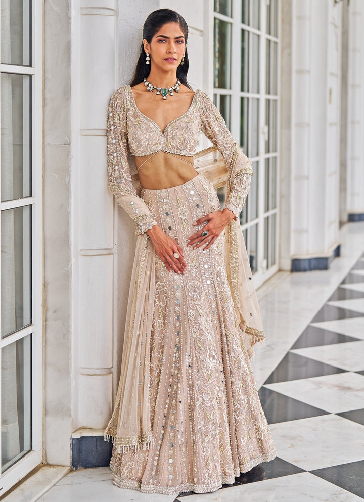 Pink Sequinned Mermaid Lehenga Set Nidhika Shekar - Fabilicious Fashion