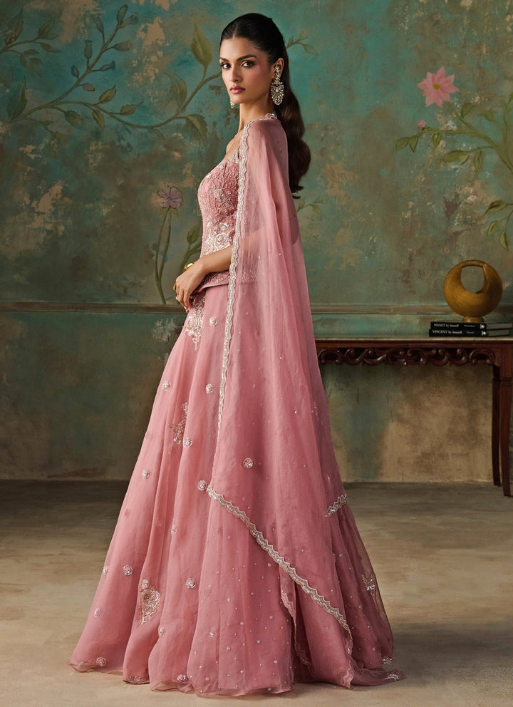 Zoon Tribe Pink Silk Organza Corset Lehenga SetFabilicious Fashion
