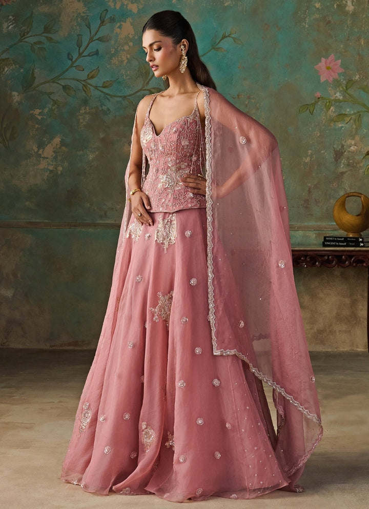 Zoon Tribe Pink Silk Organza Corset Lehenga SetFabilicious Fashion