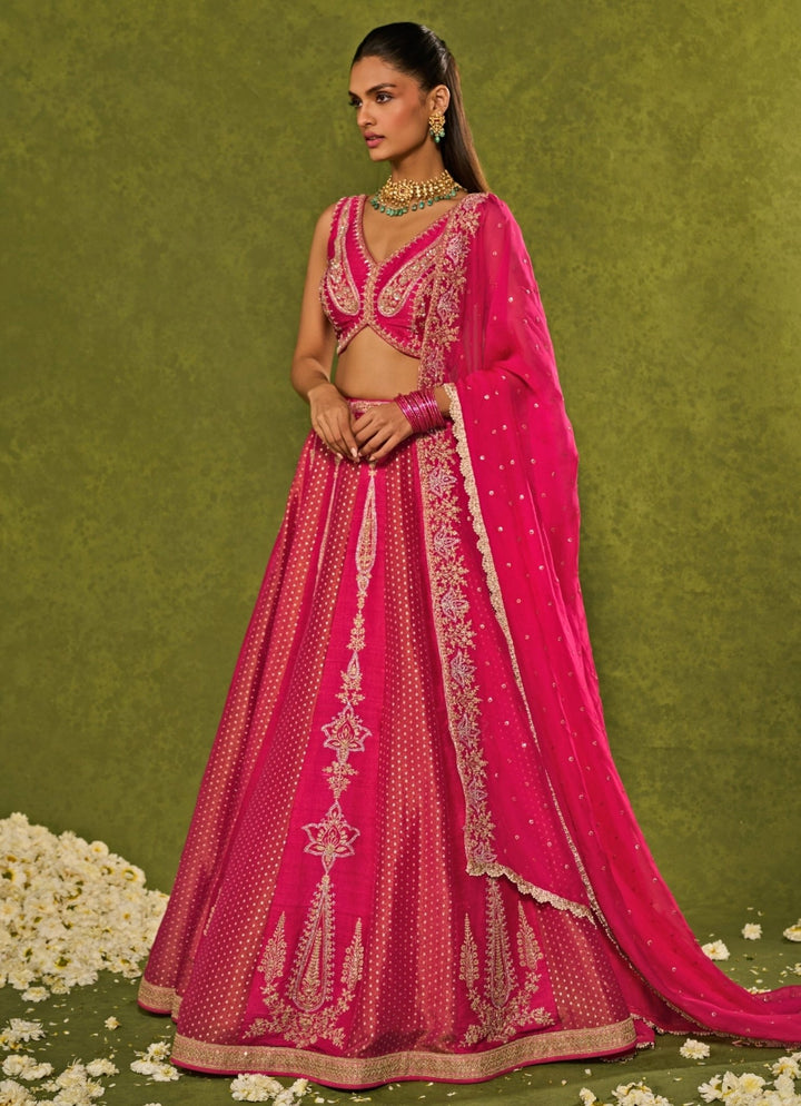 Pink Tissue Jamewar Lehenga Chamee & Palak - Fabilicious Fashion
