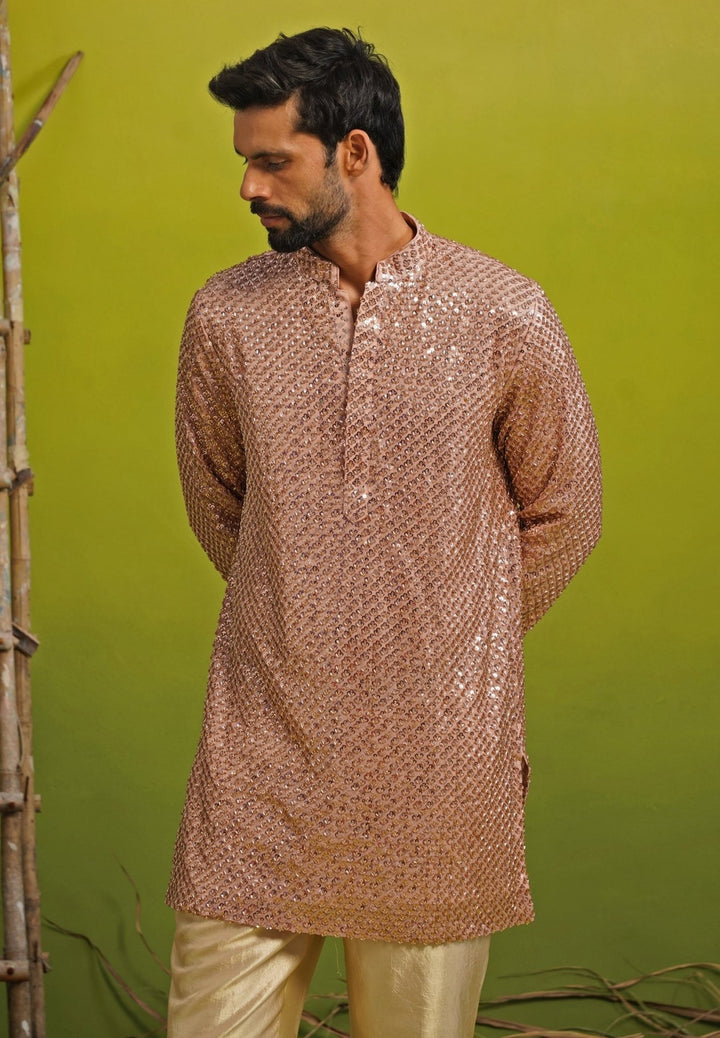 Pink Tissue Short Kurta Set Kalpraag - Fabilicious Fashion