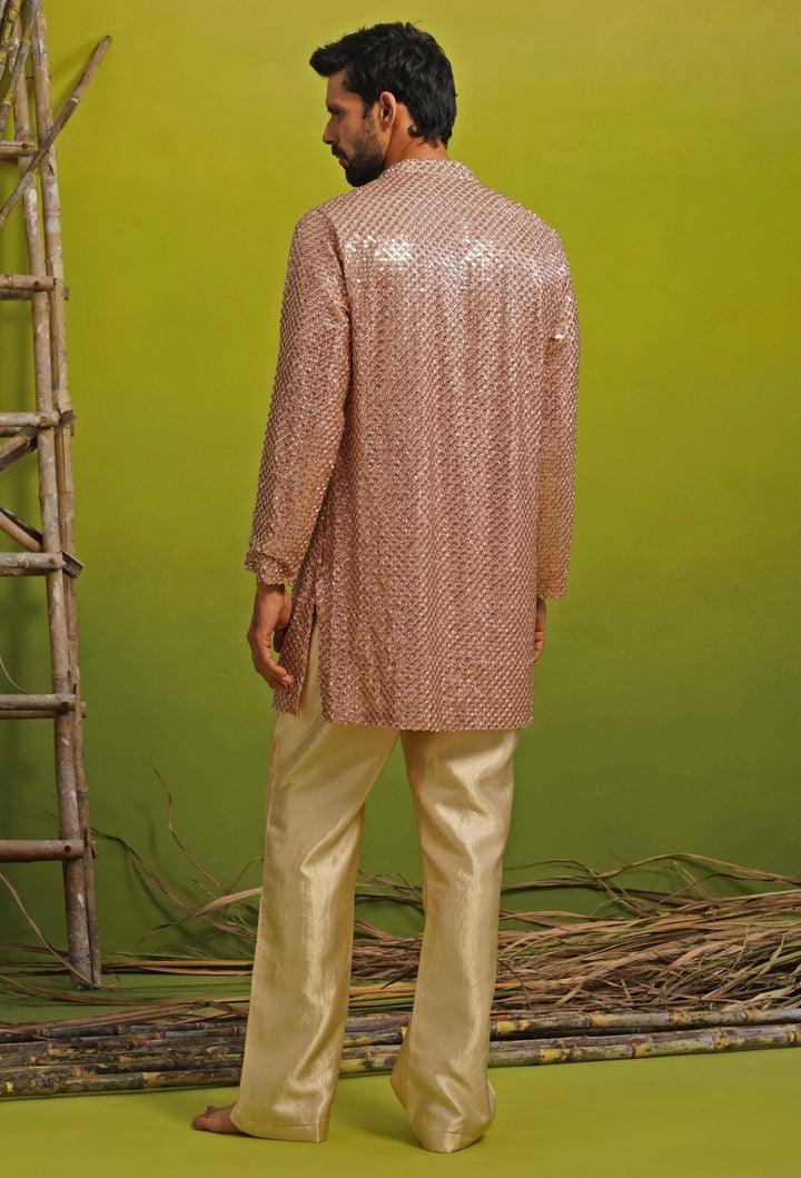 Pink Tissue Short Kurta Set Kalpraag - Fabilicious Fashion