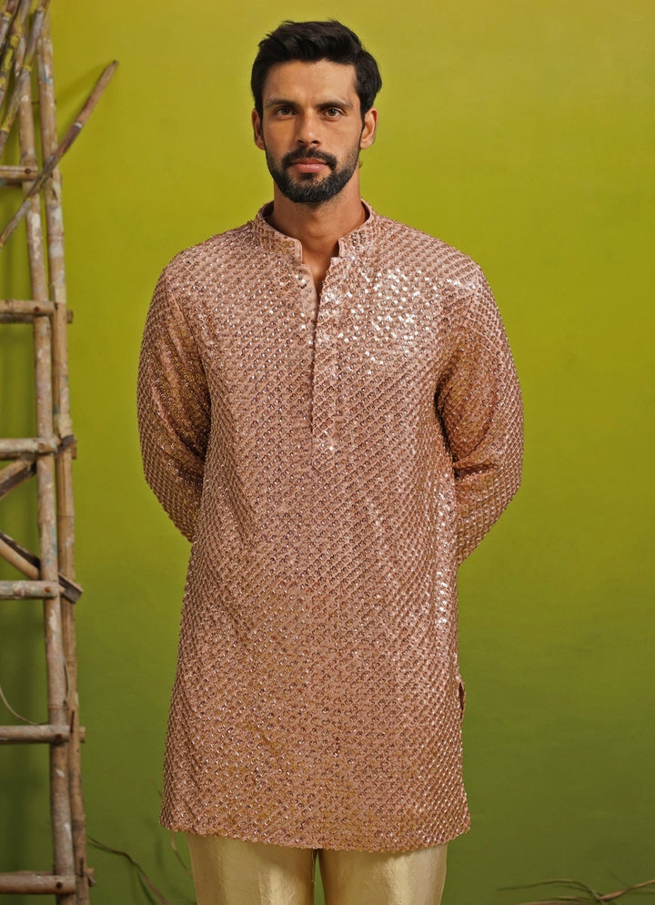 Pink Tissue Short Kurta Set Kalpraag - Fabilicious Fashion