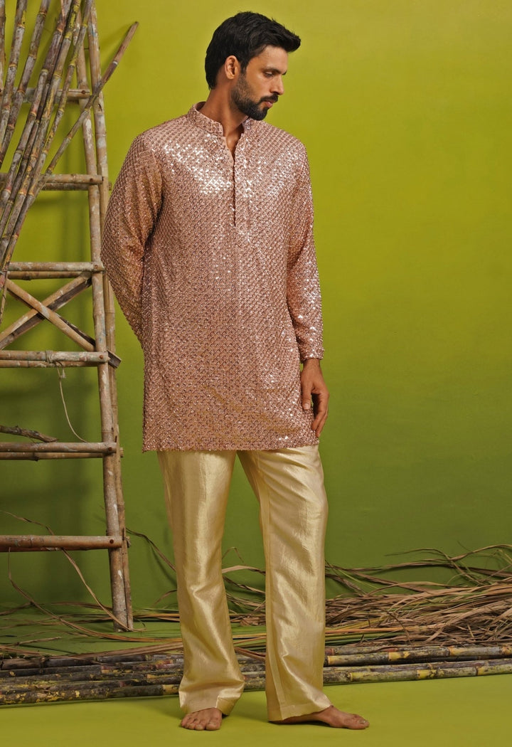 Pink Tissue Short Kurta Set Kalpraag - Fabilicious Fashion