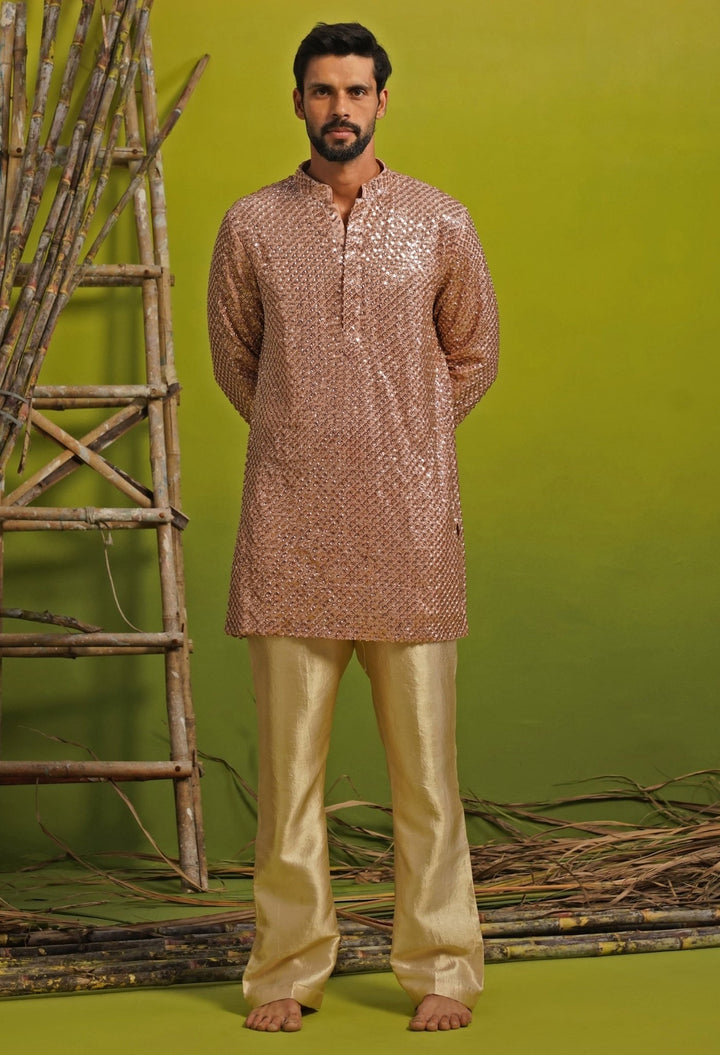 Pink Tissue Short Kurta Set Kalpraag - Fabilicious Fashion
