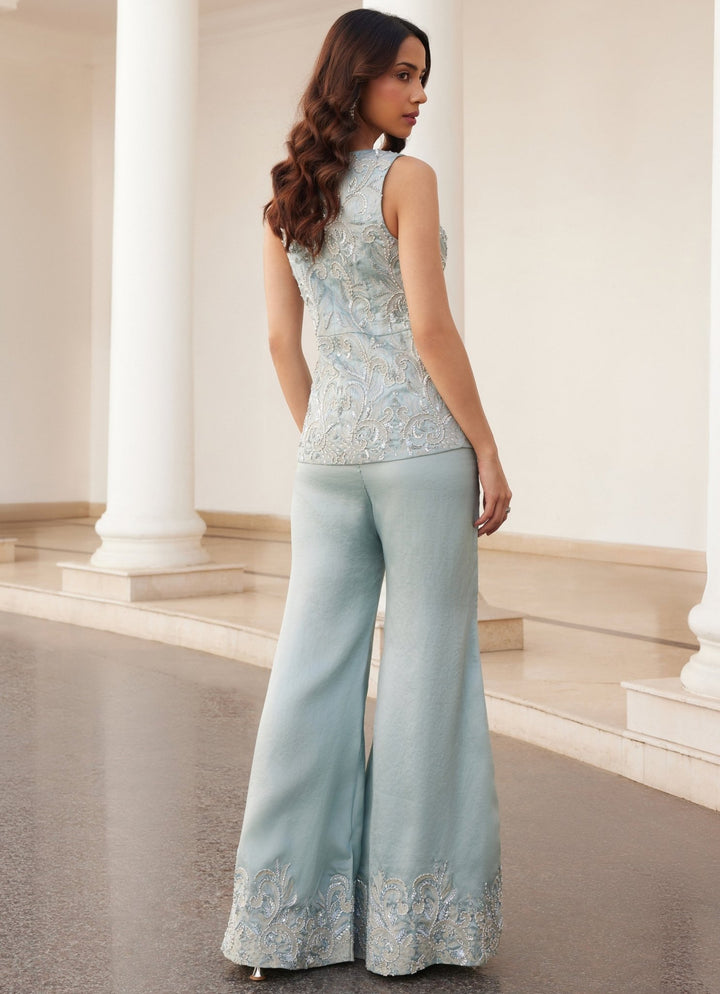Powder Blue Embroidered Pure Silk Organza Co ord Set Sanya Gulati - Fabilicious Fashion