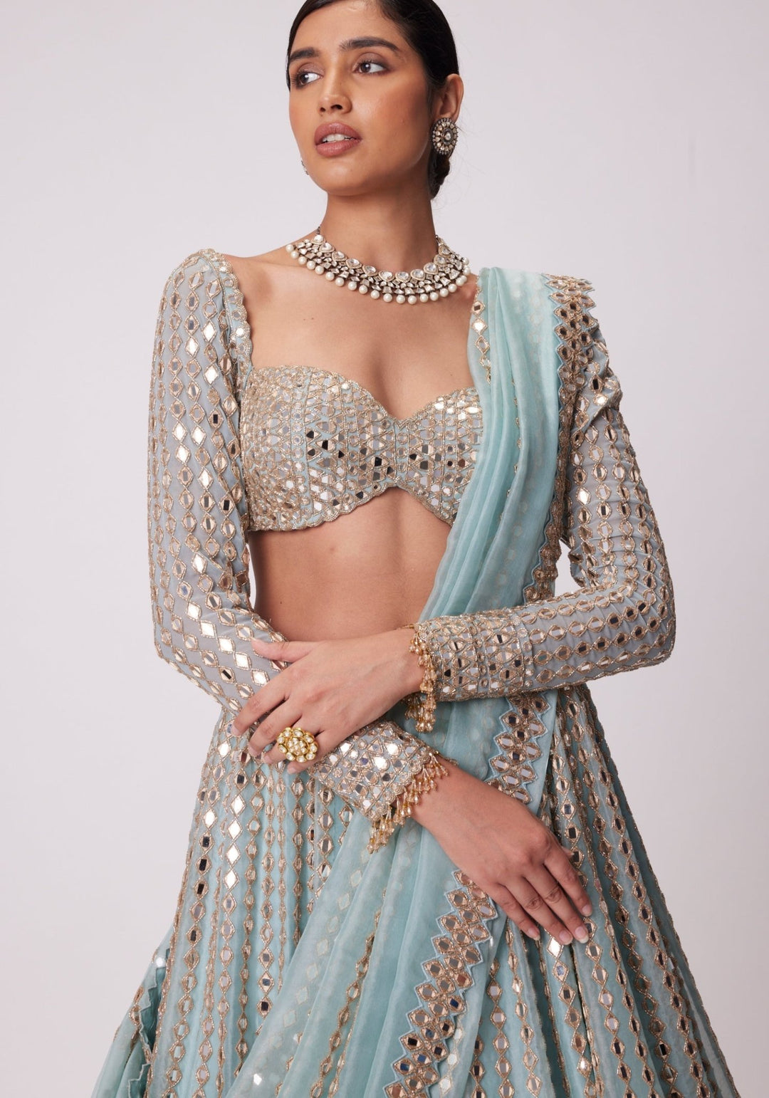 Powder Blue Linear Lehenga With Embroidered Full Sleeves Blouse Vvani by Vani Vats - Fabilicious Fashion