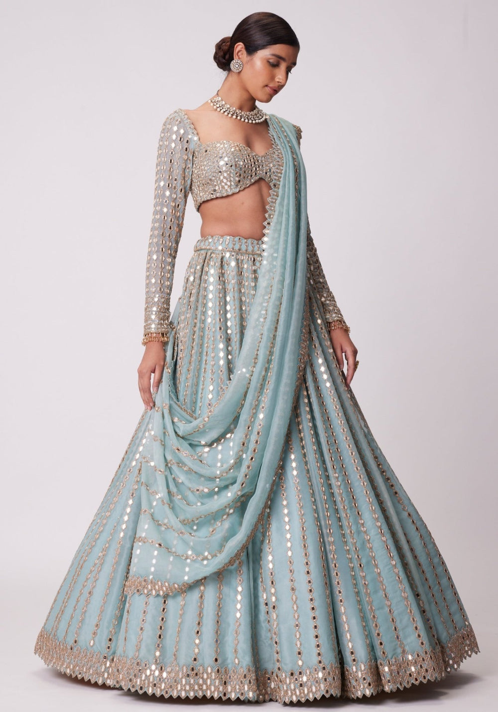 Powder Blue Linear Lehenga With Embroidered Full Sleeves Blouse Vvani by Vani Vats - Fabilicious Fashion