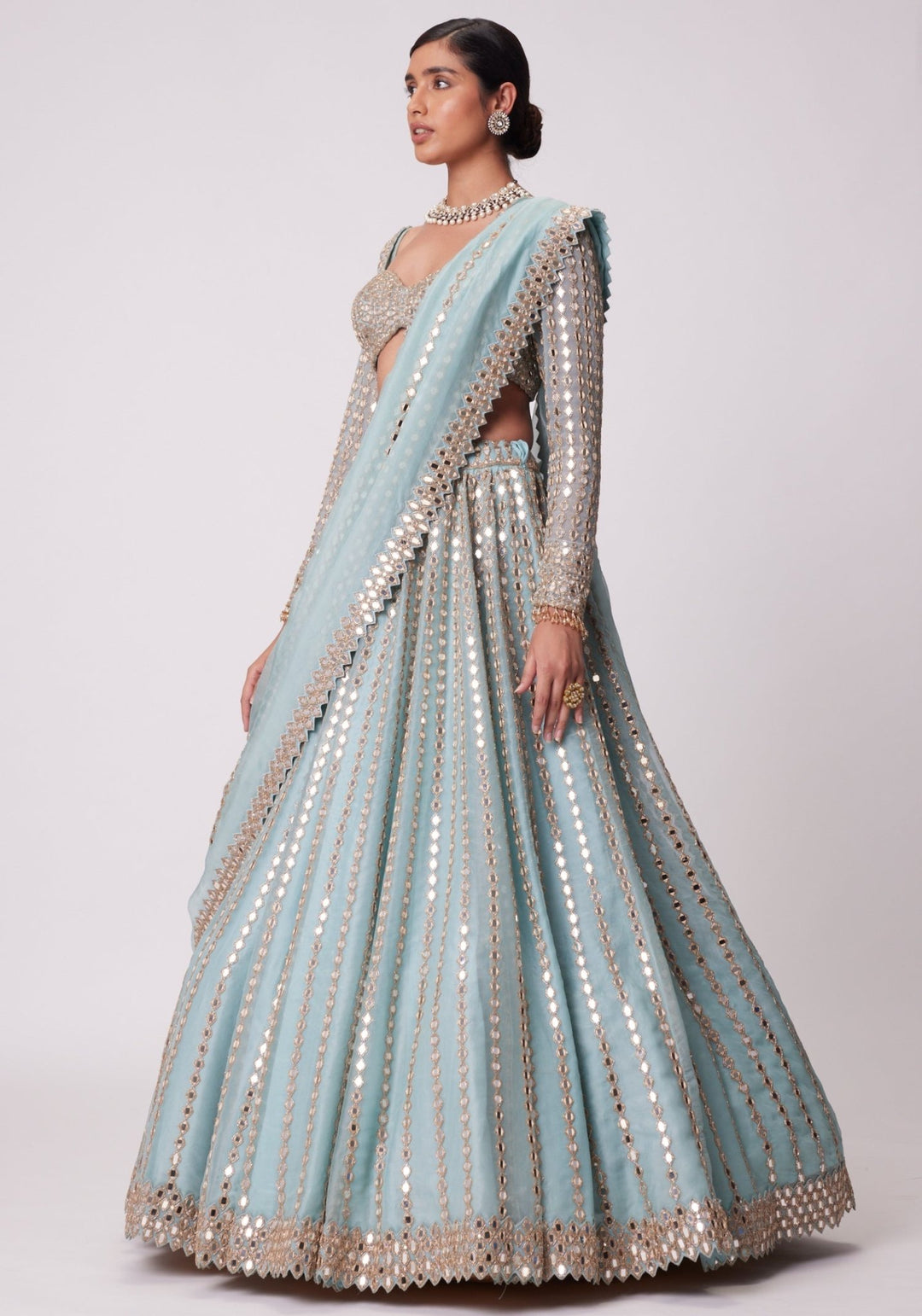 Powder Blue Linear Lehenga With Embroidered Full Sleeves Blouse Vvani by Vani Vats - Fabilicious Fashion