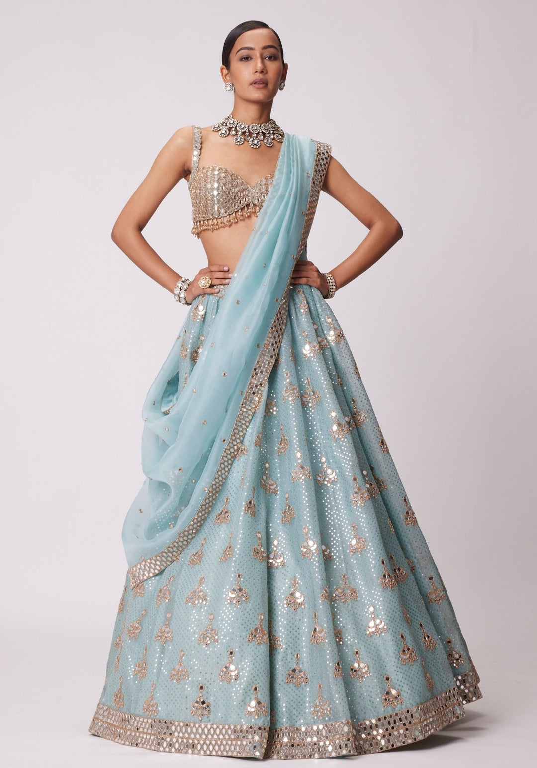 Powder Blue Organza Lehenga With Embroidered Sleeveless Blouse Vvani by Vani Vats - Fabilicious Fashion