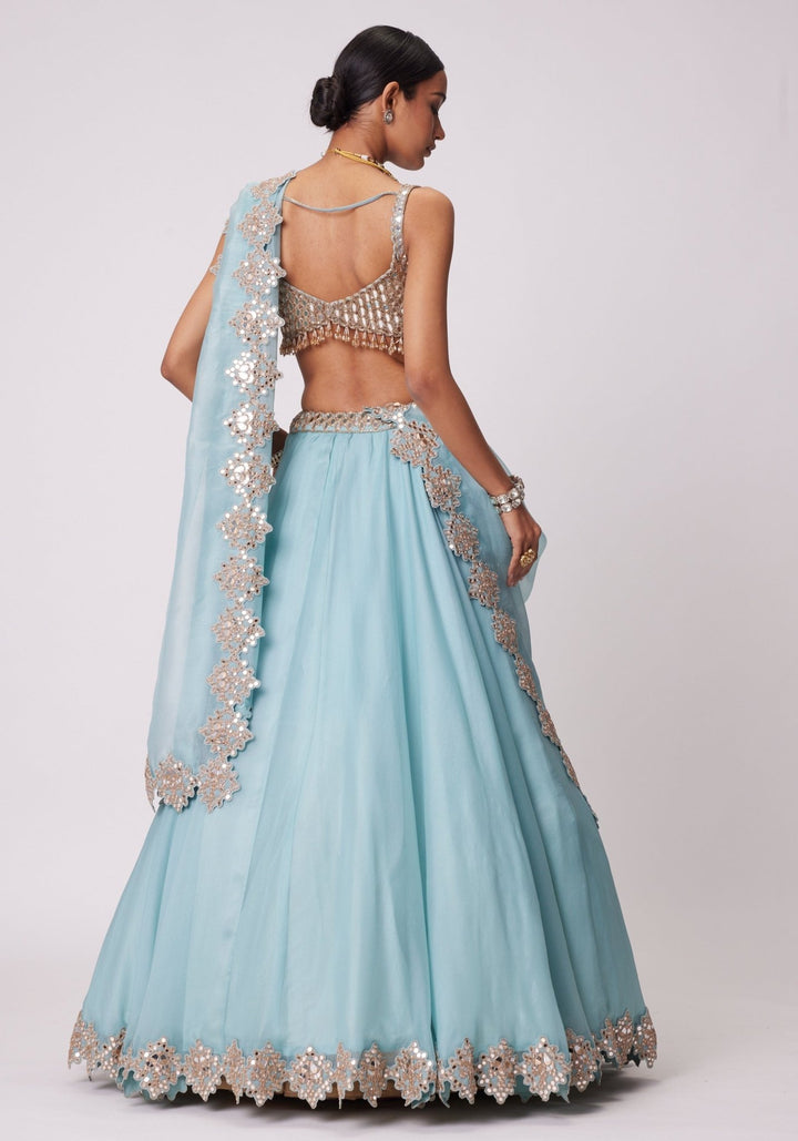 Powder Blue Organza Lehenga With Sleeveless Embroidered Blouse Vvani by Vani Vats - Fabilicious Fashion