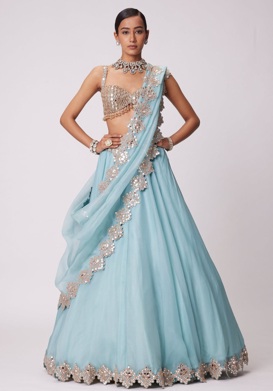 Powder Blue Organza Lehenga With Sleeveless Embroidered Blouse Vvani by Vani Vats - Fabilicious Fashion