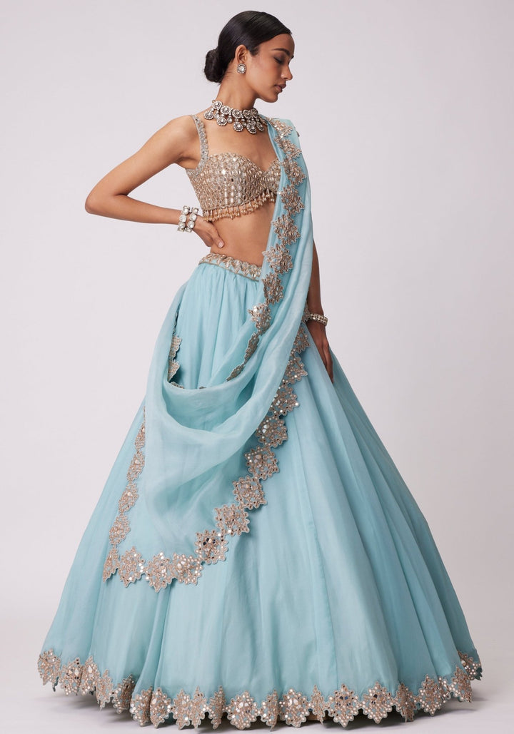 Powder Blue Organza Lehenga With Sleeveless Embroidered Blouse Vvani by Vani Vats - Fabilicious Fashion