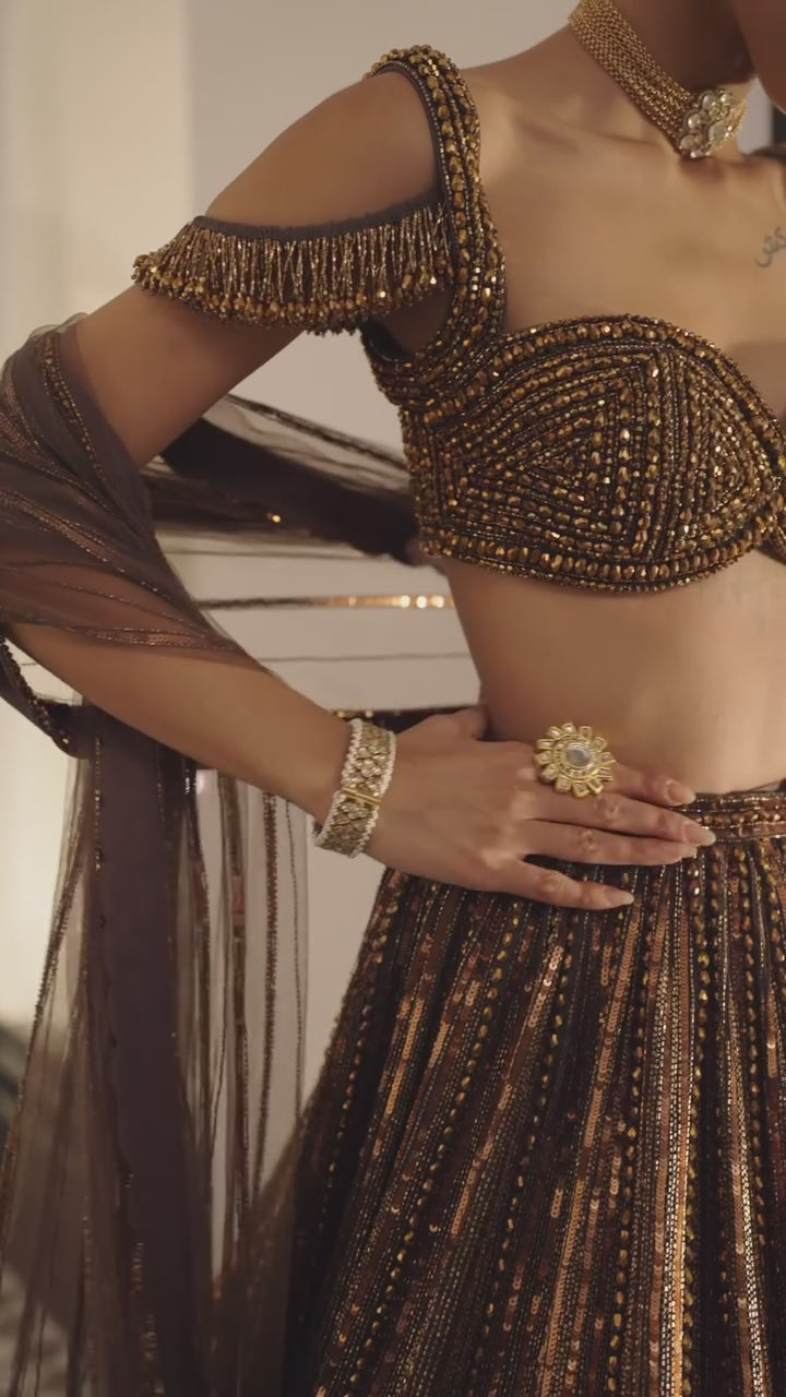 Copper Crystal Linear Embroidered Organza Lehenga Set