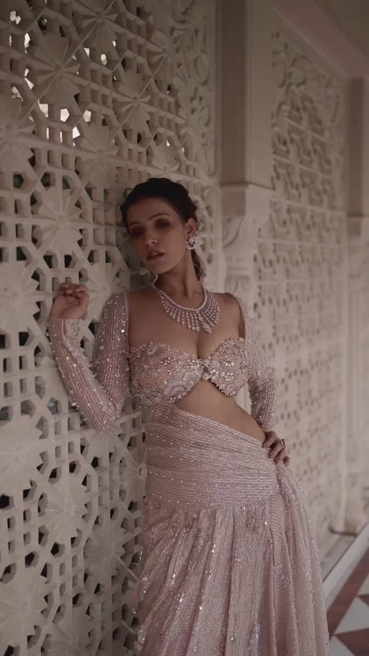 Nude Gold Embroidered And Pre-Draped Concept Skirt Saree