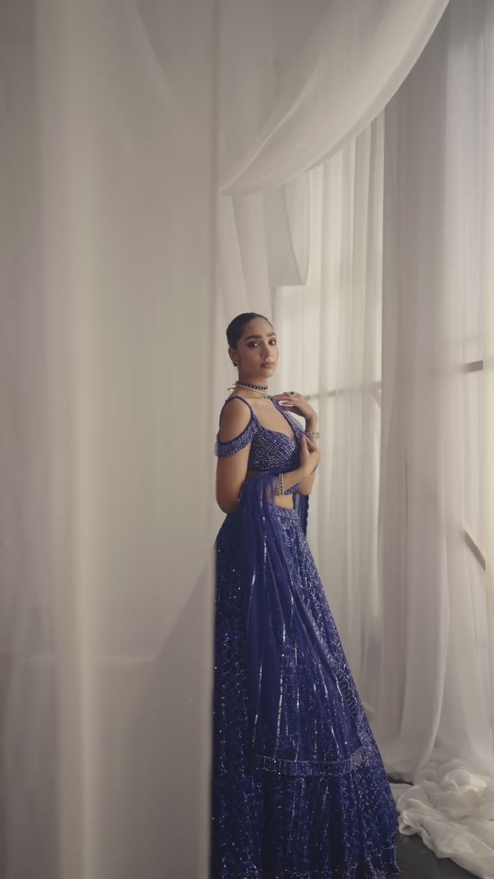 Blue Crystal And Sequin Embroidered Lehenga Set