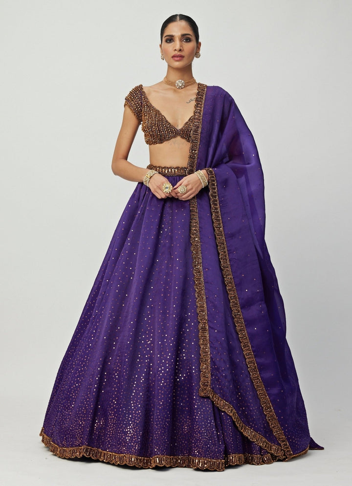 Purple Crystal And Sequin Scattered Organza Lehenga Set Vvani By Vani Vats - Fabilicious Fashion