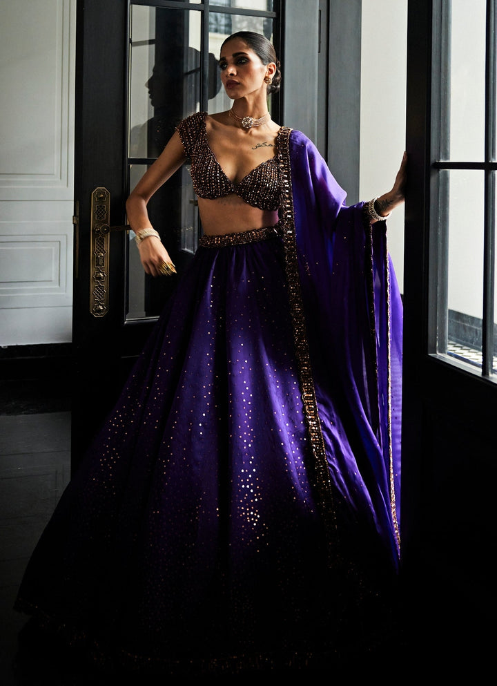 Purple Crystal And Sequin Scattered Organza Lehenga Set Vvani By Vani Vats - Fabilicious Fashion