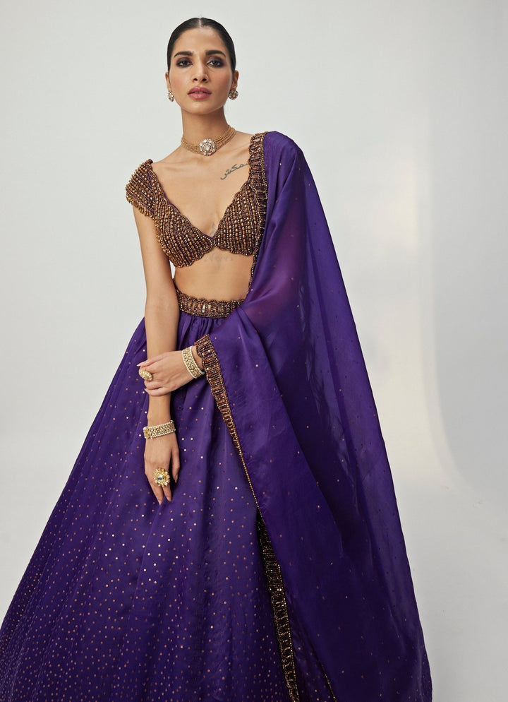 Purple Crystal And Sequin Scattered Organza Lehenga Set Vvani By Vani Vats - Fabilicious Fashion