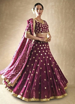 Petunia Velvet Mirrorwork Lehenga