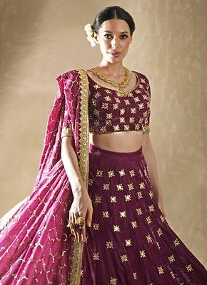 Petunia Velvet Mirrorwork Lehenga