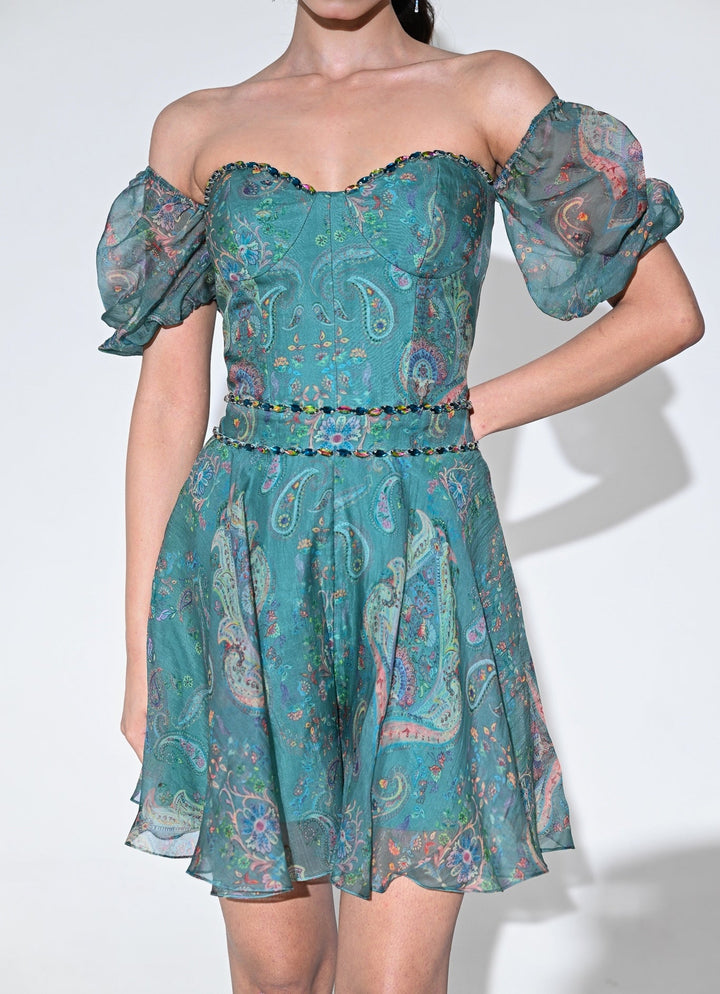 Rama Green Organza Jumpsuit Juhi Bengani - Fabilicious Fashion