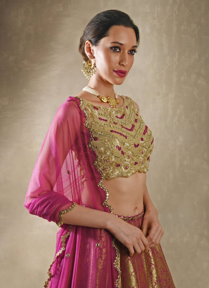 Rani Pink Banarasi Lehenga Renee Label - Fabilicious Fashion