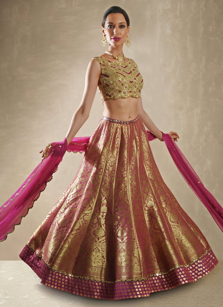 Rani Pink Banarasi Lehenga Renee Label - Fabilicious Fashion