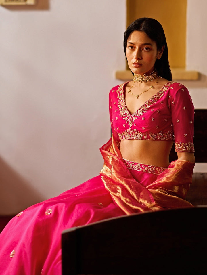 Rani Pink Embroidered Organza Lehenga Set Zoon Tribe - Fabilicious Fashion