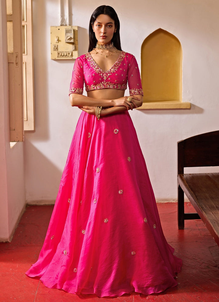 Rani Pink Embroidered Organza Lehenga Set Zoon Tribe - Fabilicious Fashion