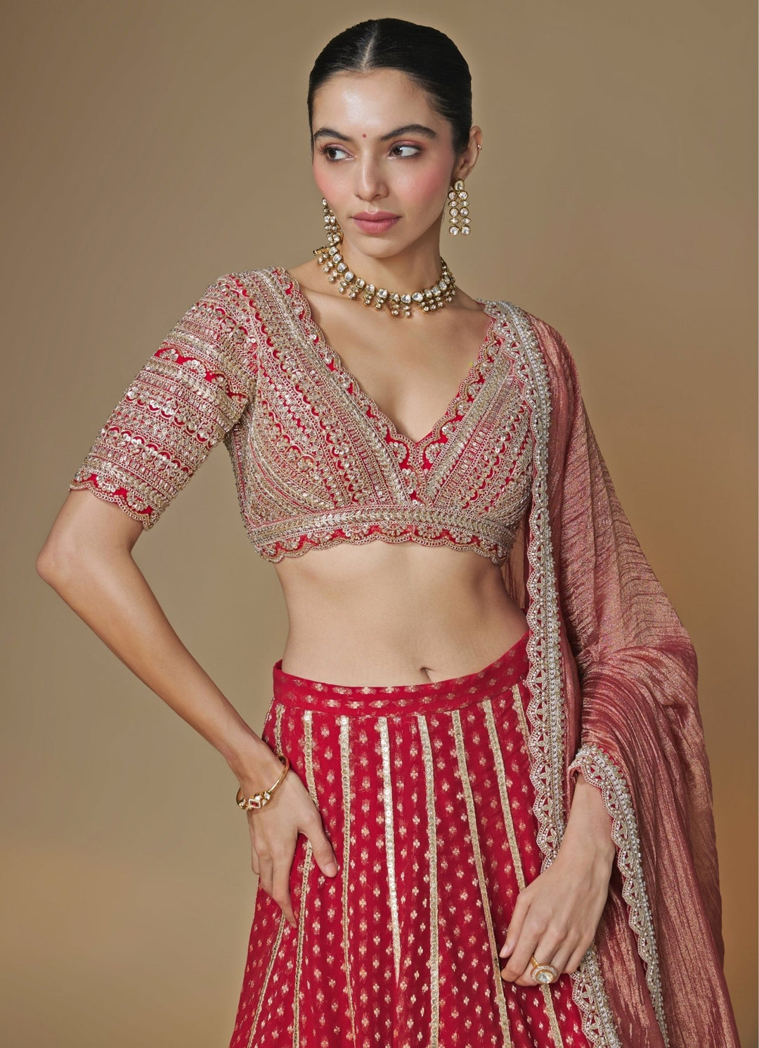 Renee Label Red Banarasi Georgette Lehenga SetFabilicious Fashion
