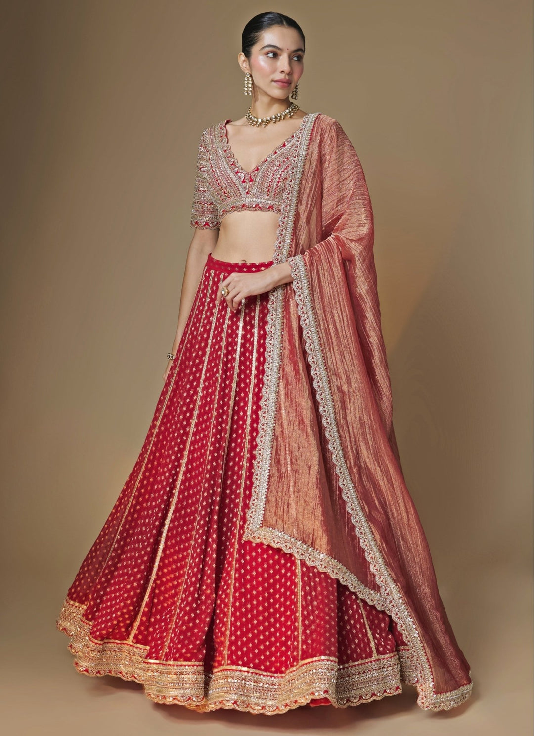 Renee Label Red Banarasi Georgette Lehenga SetFabilicious Fashion