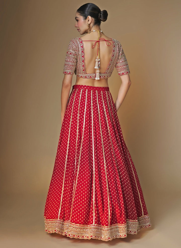 Renee Label Red Banarasi Georgette Lehenga SetFabilicious Fashion