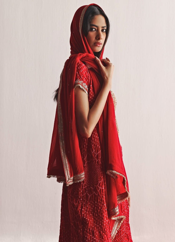 Red Bandhani Embroidered Kurta Palazzo Set Twenty Nine - Fabilicious Fashion