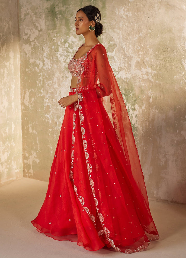 Red Embroidered Silk Organza Lehenga Set Zoon Tribe - Fabilicious Fashion