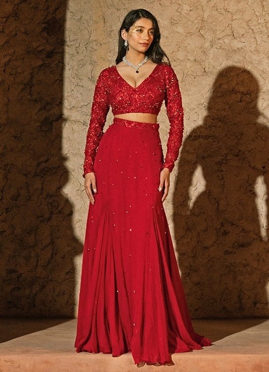 Red Organza Panelled Skirt Set Silky Bindra - Fabilicious Fashion