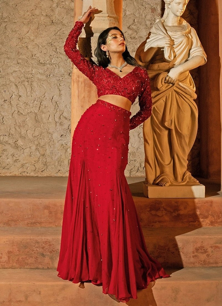 Red Organza Panelled Skirt Set Silky Bindra - Fabilicious Fashion