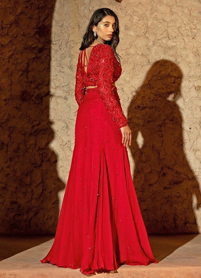 Red Organza Panelled Skirt Set Silky Bindra - Fabilicious Fashion