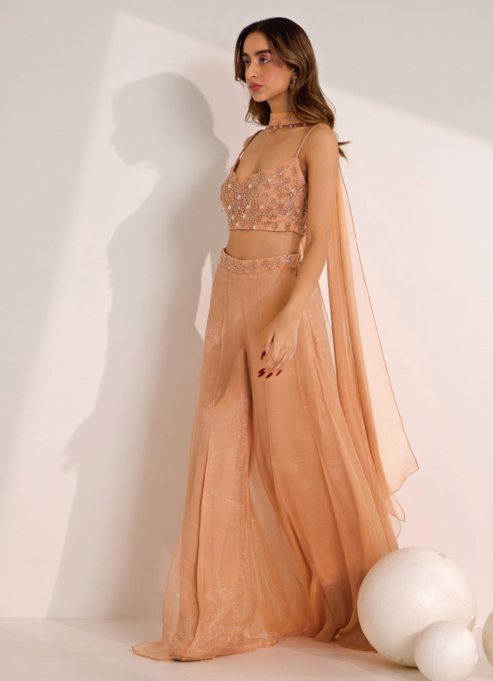 Rose Gold Embellished Palazzo Pant Set Silky Bindra - Fabilicious Fashion