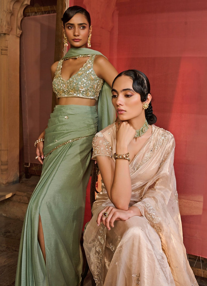 Rose Gold Embroidered Silk Tissue Saree Set Zoon Tribe - Fabilicious Fashion