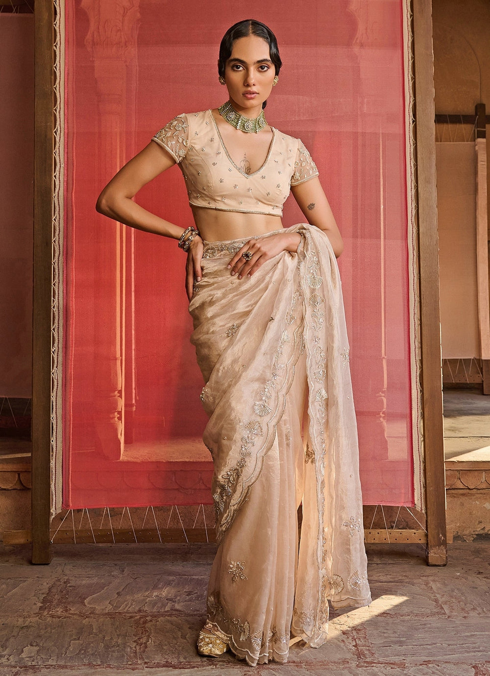 Rose Gold Embroidered Silk Tissue Saree Set Zoon Tribe - Fabilicious Fashion