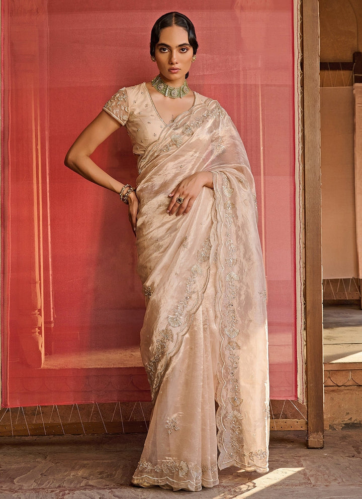 Rose Gold Embroidered Silk Tissue Saree Set Zoon Tribe - Fabilicious Fashion