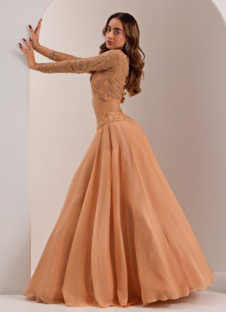 Rose Gold Snowflake Embellished Lehenga Set Silky Bindra - Fabilicious Fashion