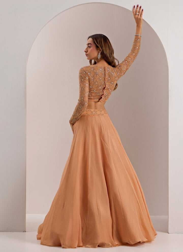 Rose Gold Snowflake Embellished Lehenga Set Silky Bindra - Fabilicious Fashion